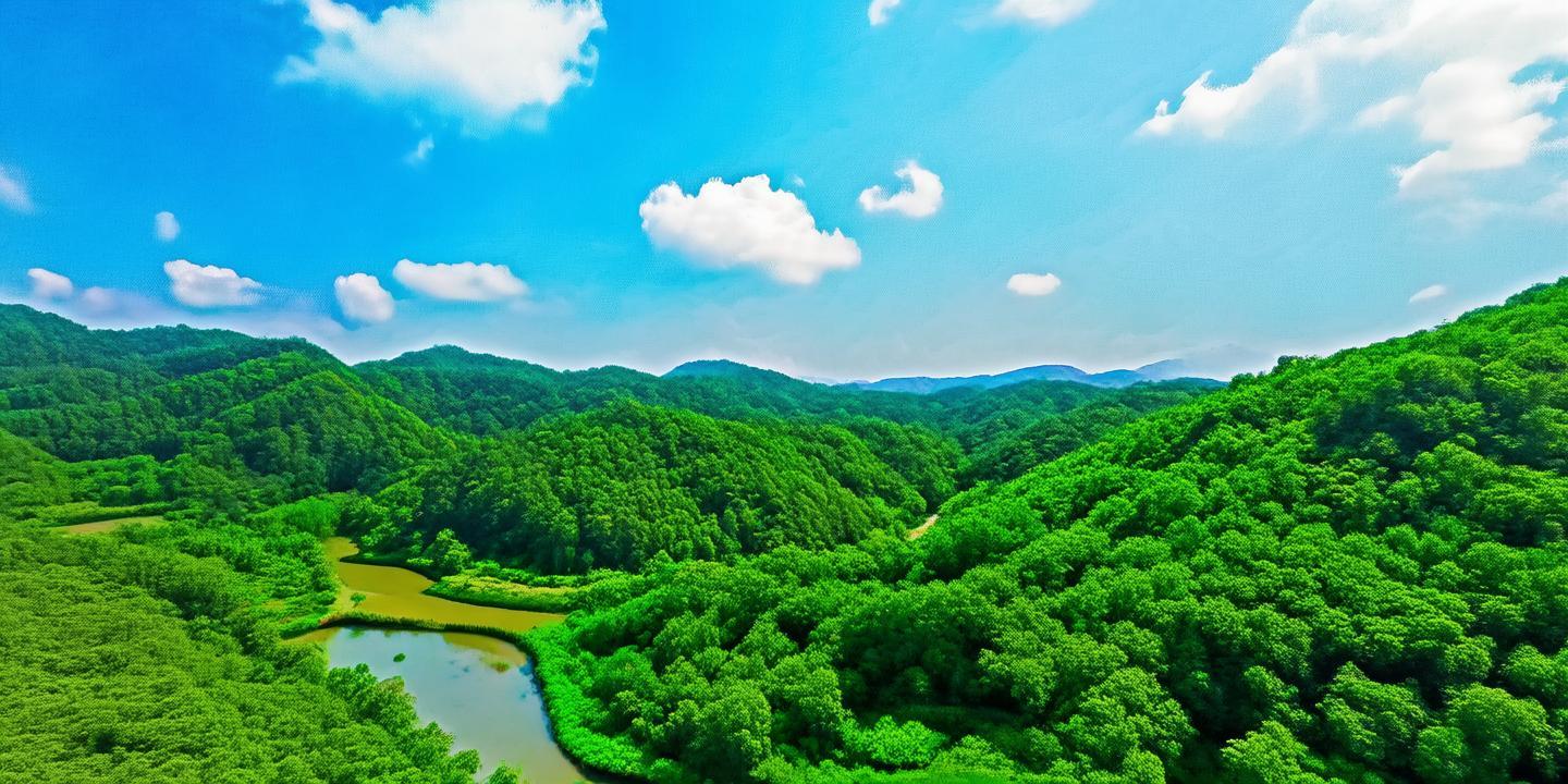 丽水九县共建生态产品交易所,森林水资源估值超2000亿,绿色经济新篇章